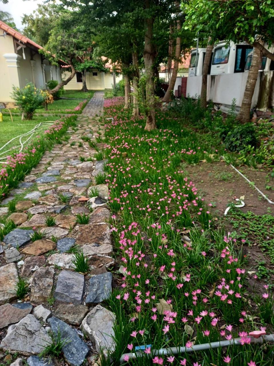 Sai Gon Con Dao Resort Ngoại thất bức ảnh